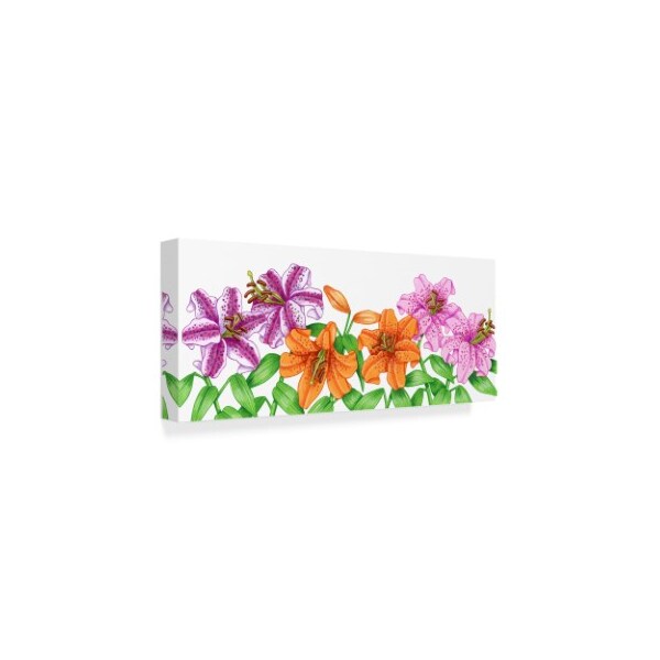 Kimura Designs 'Floral Lilies' Canvas Art,20x47